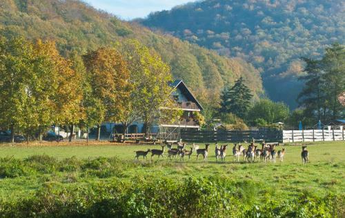 Hostal Pension Margarete