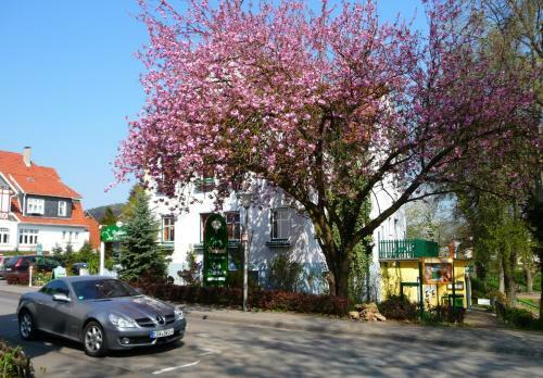 Parkhotel Am Schwanenteich