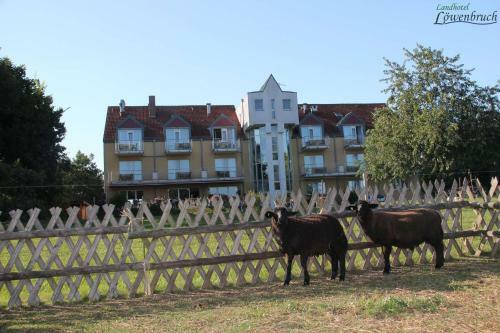 Landhotel L�wenbruch
