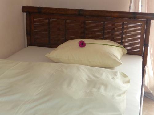 Hostal El Loquito
