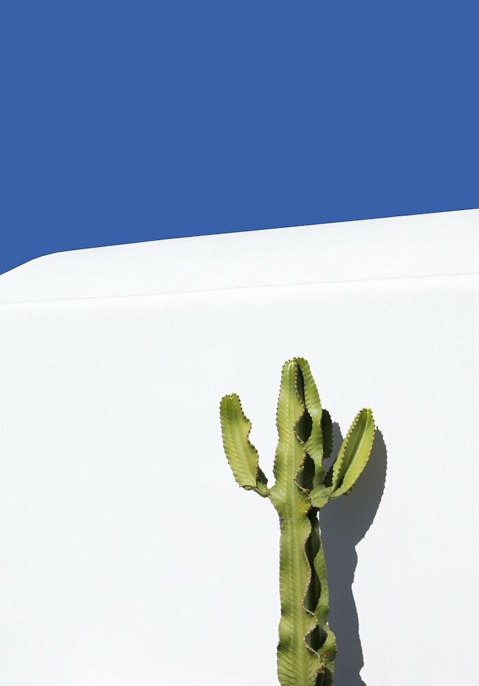 Dreamlike Villas Mykonos