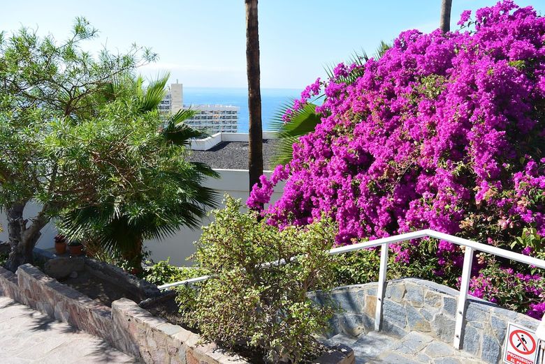 Apartamentos Los Gigantes