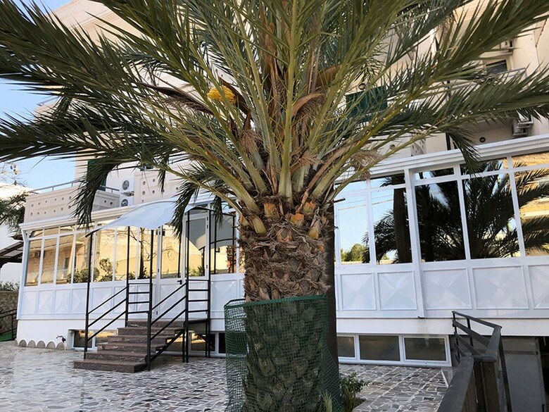 Salent Hotel