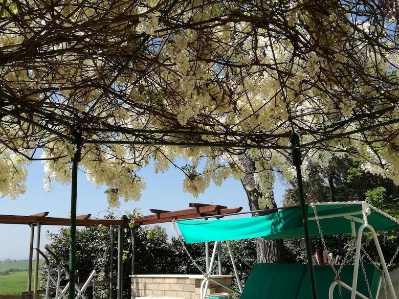 Agroturismo Poderi Di Tragliatella Farmhouse