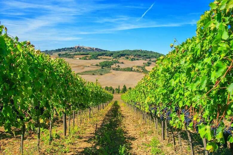Agroturismo Castello Di Spedaletto