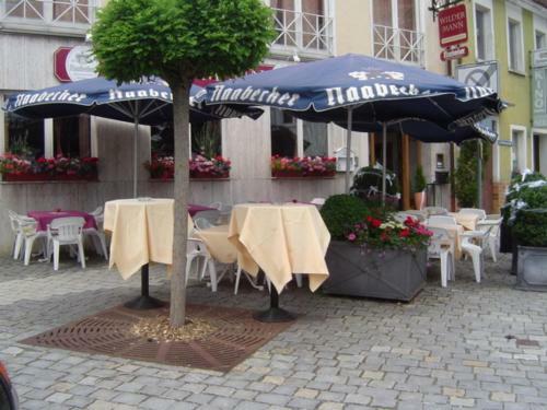 Hotel-gasthof Wilder Mann