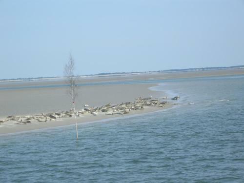 Apartamento Frische Brise