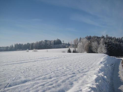 Apartamento Ferienhof Rieger