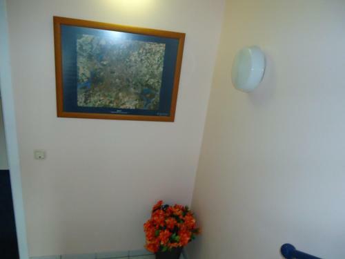 Hostal Hotel El Condor