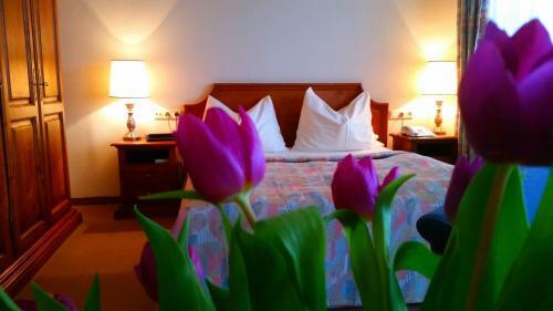 Hotel Appartment-hotel-h�lzl