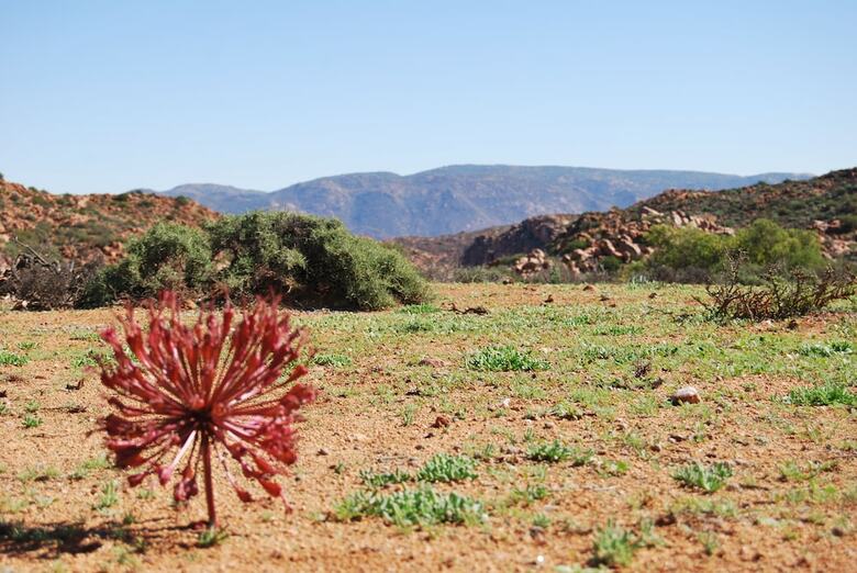 Agroturismo Platbakkies Farm Retreat