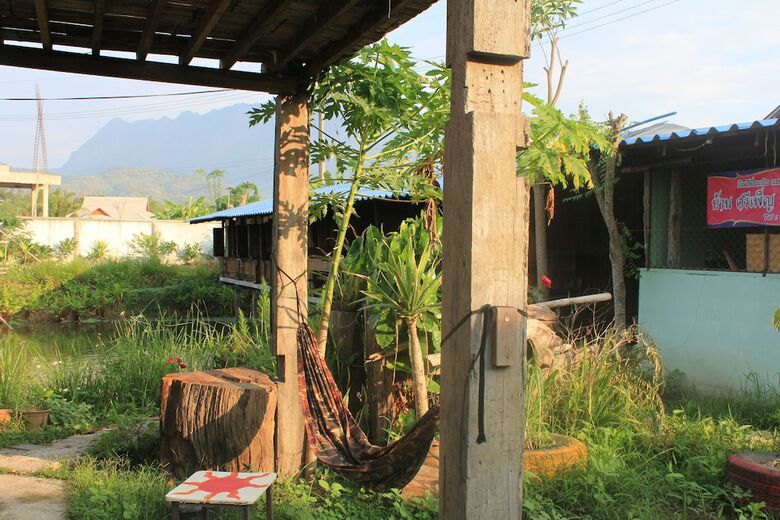 Hostal Chiangdao Wood House Homestay