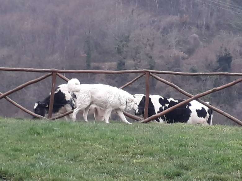 Agroturismo Agriturismo La Vita � Bella