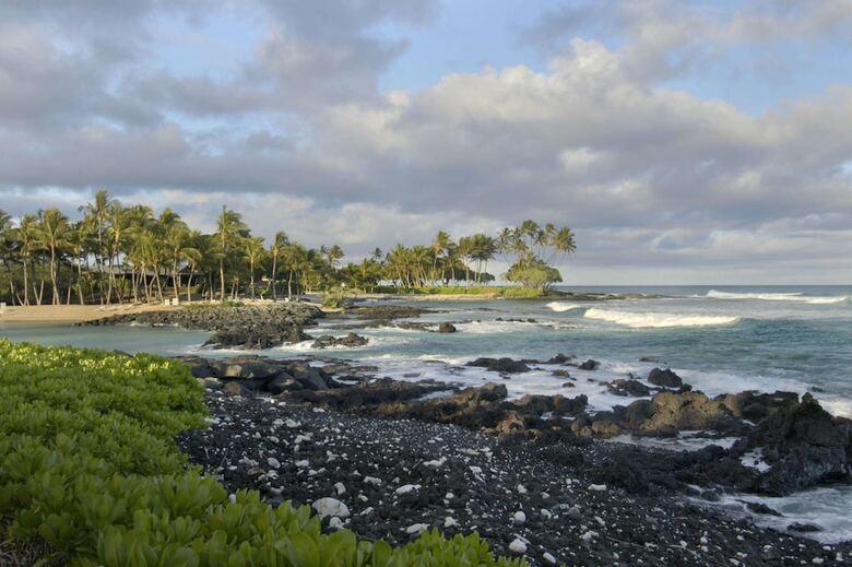Apartamento Fairmont Orchid