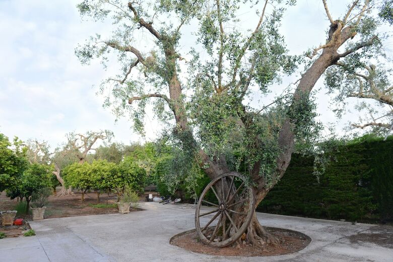 B&B Villa Lucia