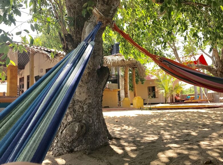Hotel The Coconut