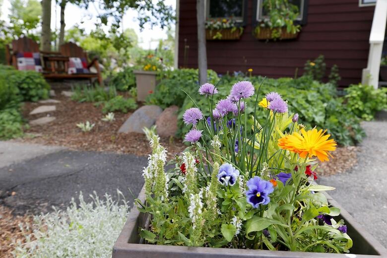 Bed & Breakfast The Ruby Of Crested Butte