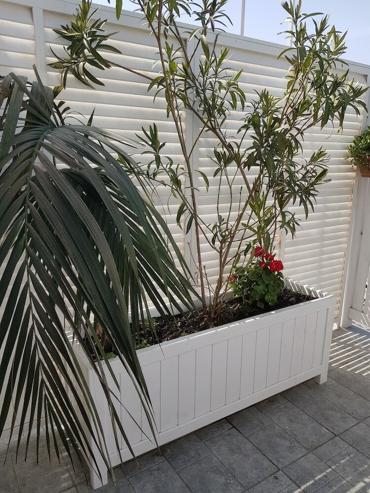 Citrus Boutique Hotel