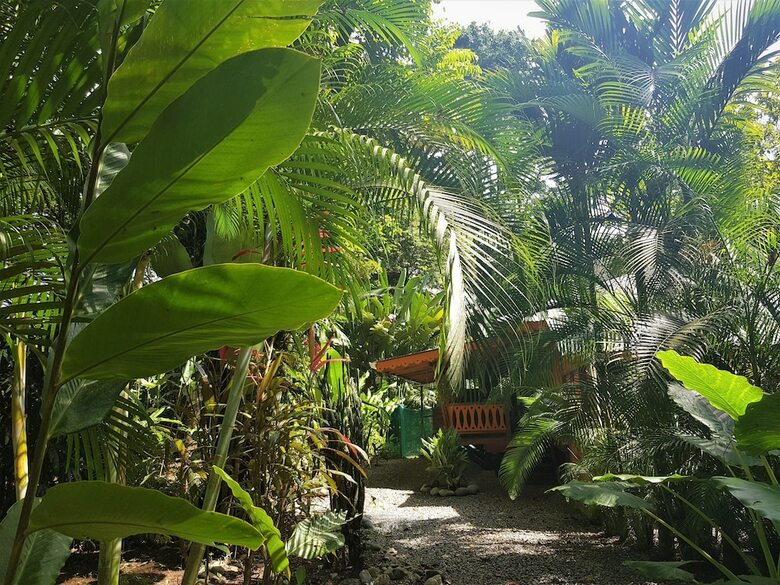 El Jardin De Playa Negra