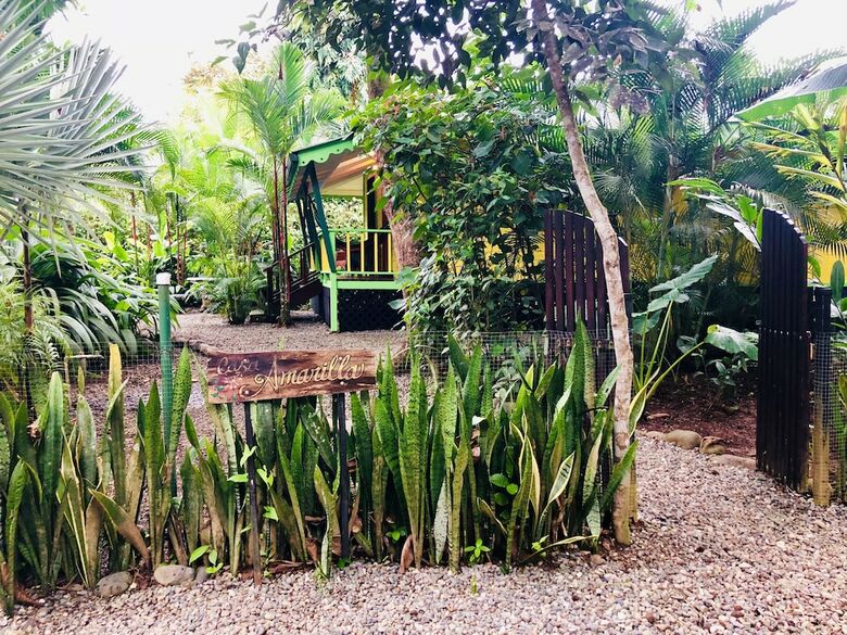 El Jardin De Playa Negra