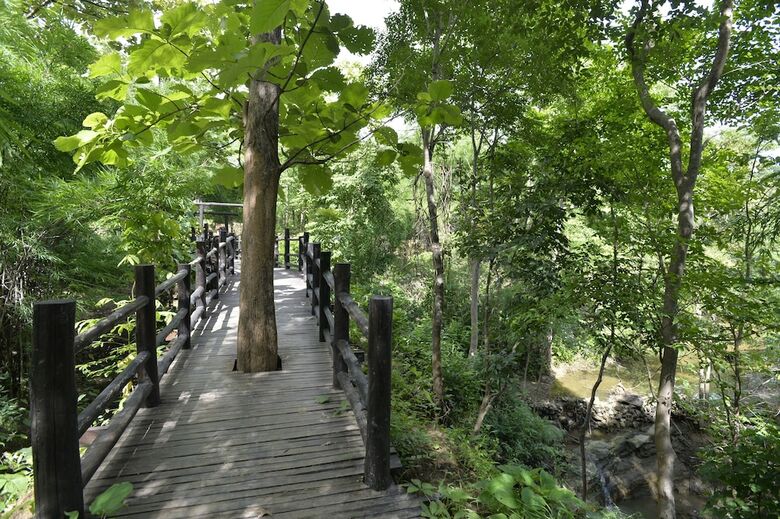 Hotel Bago Yoma Eco Resort