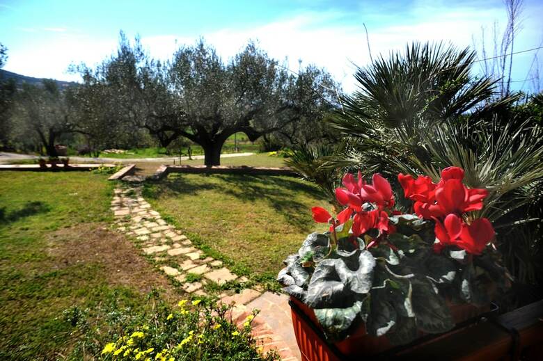 Agroturismo Barn�a - Agriturismo