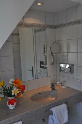 Hotel-restaurant Insel-hof