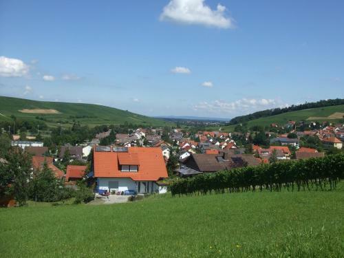 Ferienwohnungen Toska & Batzenbergblick