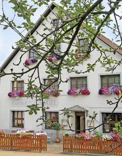 Hostal Hotel Restaurant Engel