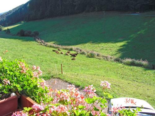 Apartamento Am Stulzenhof I