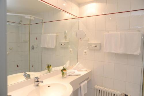 Hostal Hotel Gasthaus Adler