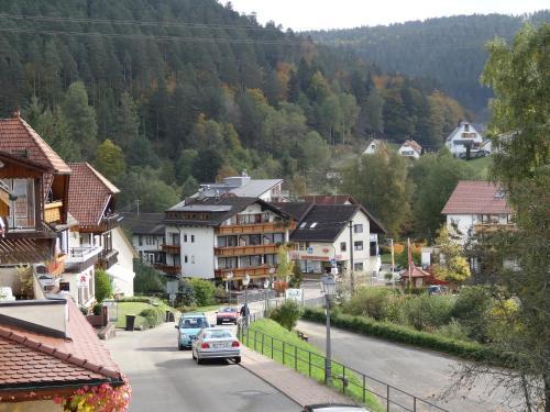 Hostal Schwarzwaldhaus Am Kurpark