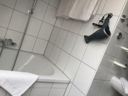 Hostal Pension Rehblick