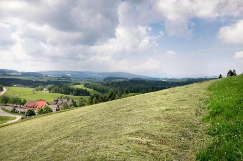Hostal Gasthaus Sonne Neuh�usle