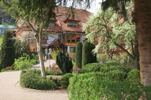Hostal Hotel-pension Caf� Schacher
