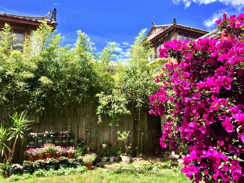 Posada Lijiang Shuhe Qingtao Inn
