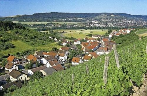 Hostal Gasthaus Zum Lamm