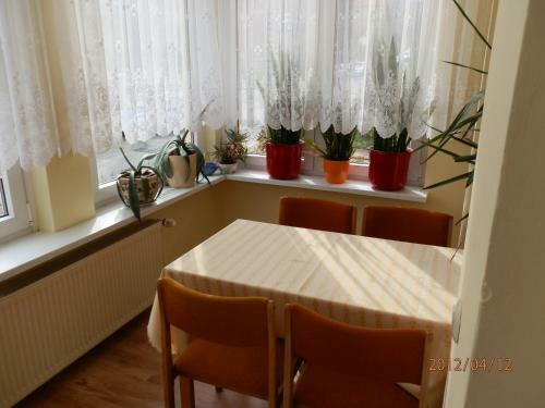 Apartamento Ferienwohnung Fedler