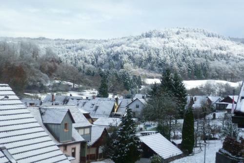 Apartamento Schwarzwald Domizil Uhlsberg