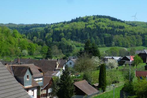 Apartamento Schwarzwald Domizil Uhlsberg