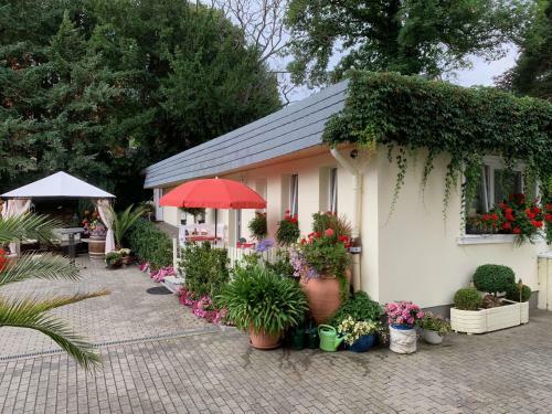 Apartamento Schlossblick