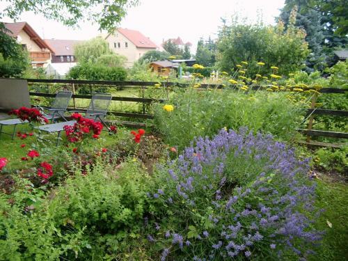 Apartamento Ferienwohnung Markert