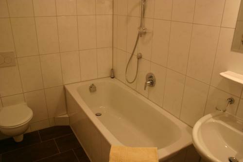 Apartment Traube