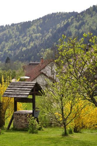 Hotel Pension Gasthaus Zur Schmiede