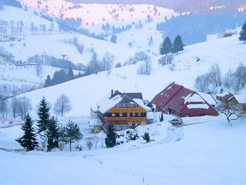 Apartamento Haus Rollspitz