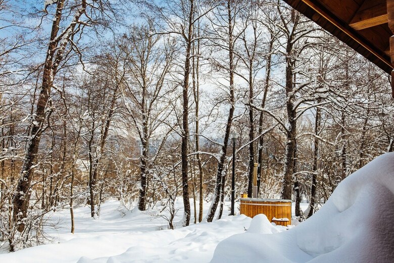 Vodenica Vrelo Chalets