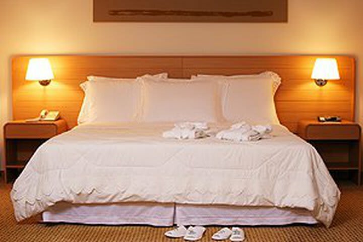 Hotel Holiday Inn Parque Anhembi
