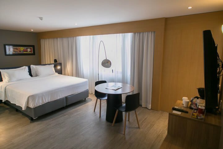 Hotel Holiday Inn Parque Anhembi