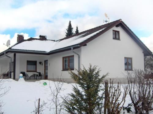 Villa Titisee 3