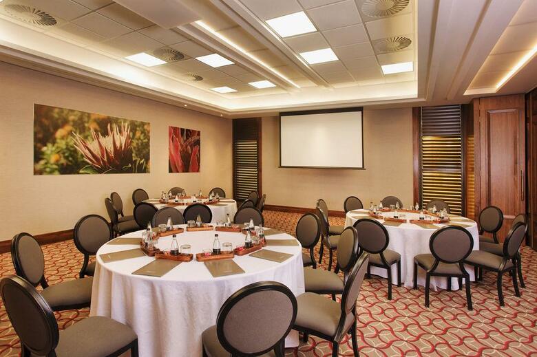Hotel Sandton Sun